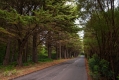 039_Madera_okolice Camachy